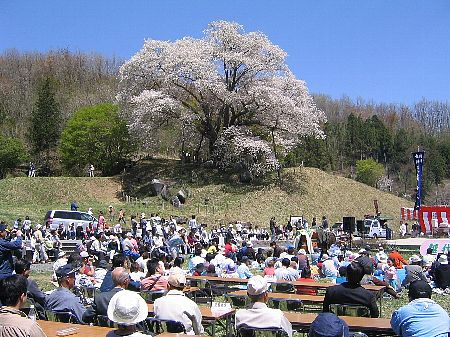 プラン名をここに入れます